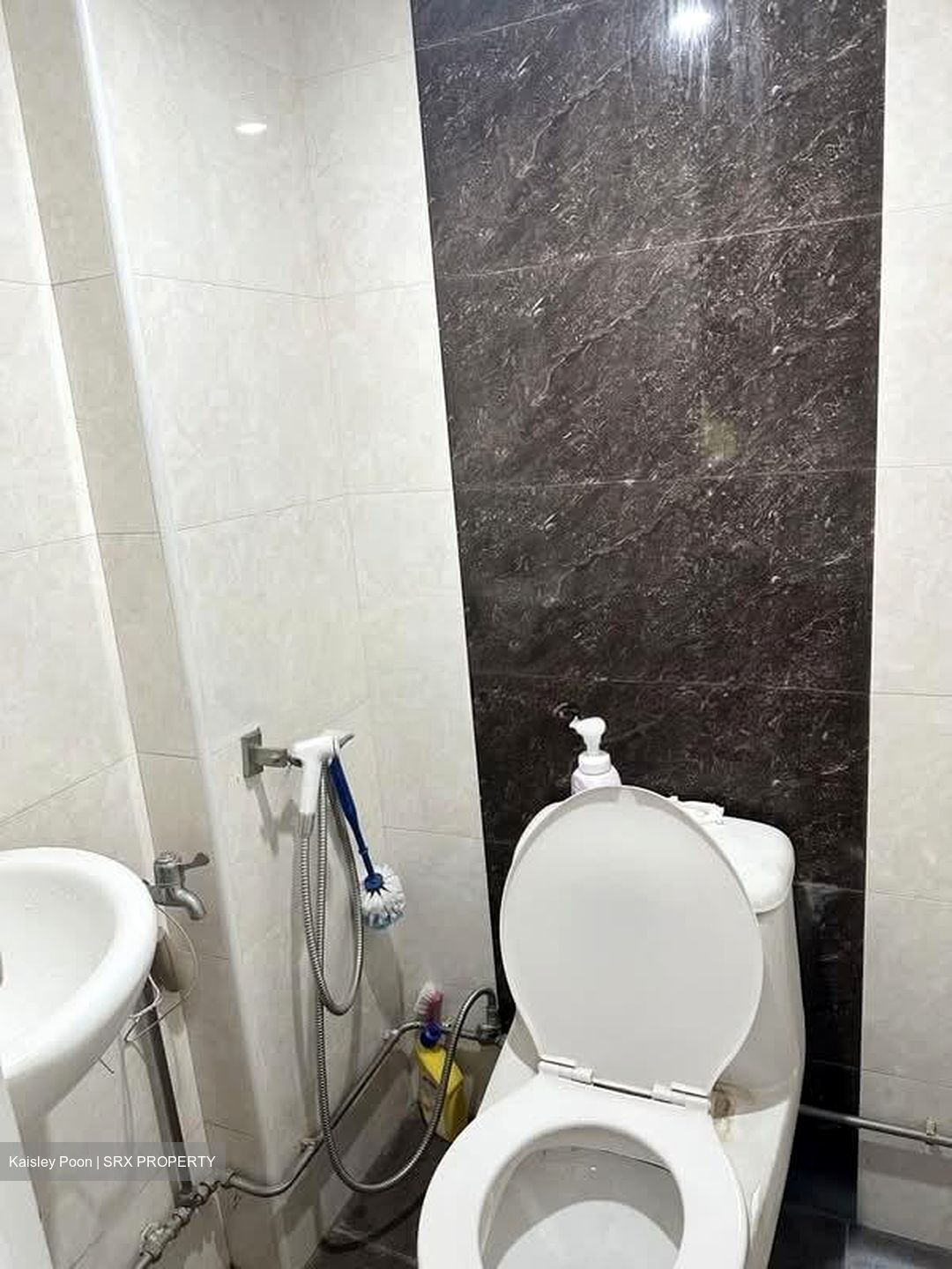Blk 96 Toa Payoh Palm Spring (Toa Payoh), HDB 3 Rooms #580501281